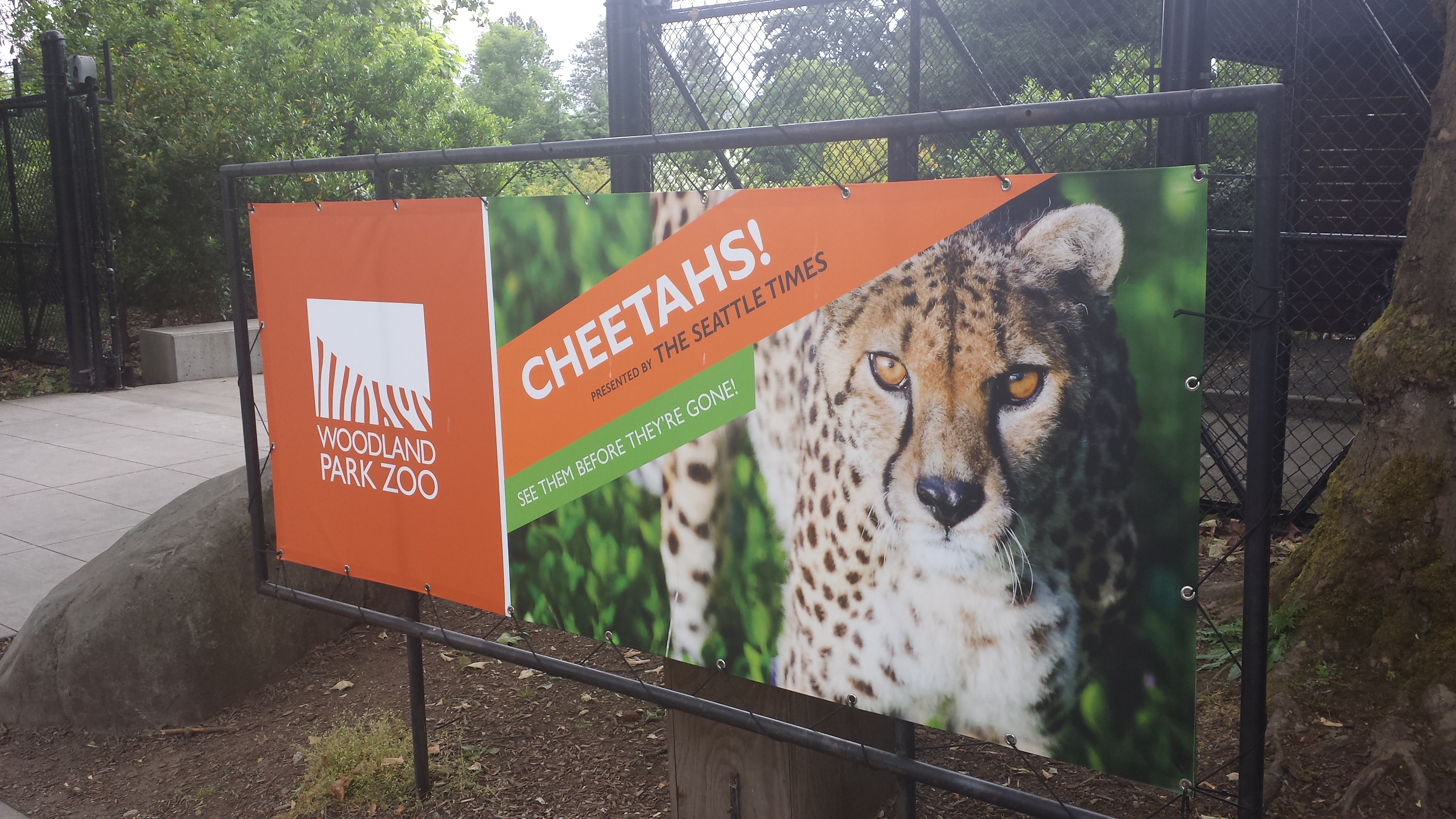 2014 06 10 09 11 511