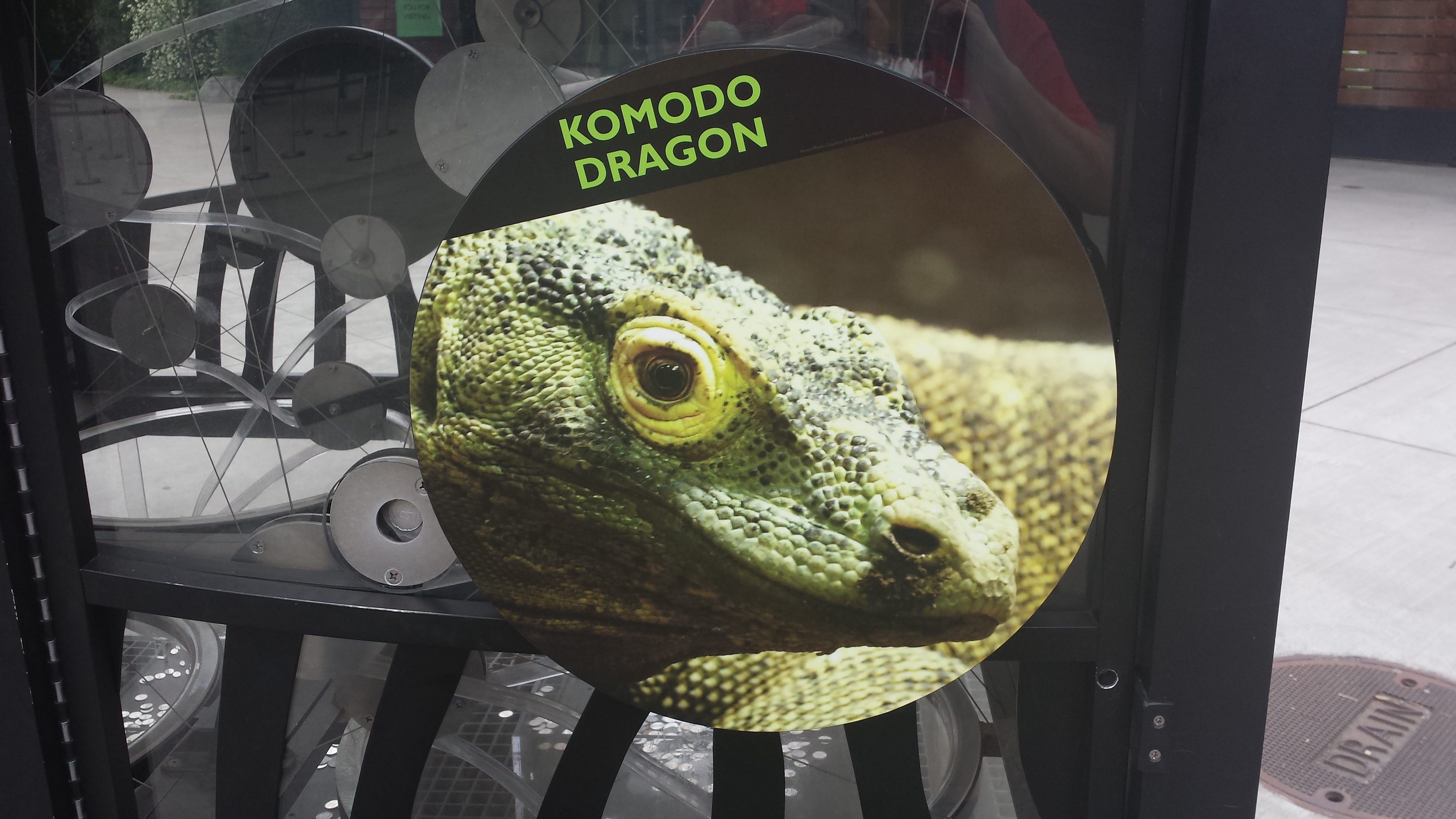 2014 06 10 09 16 081