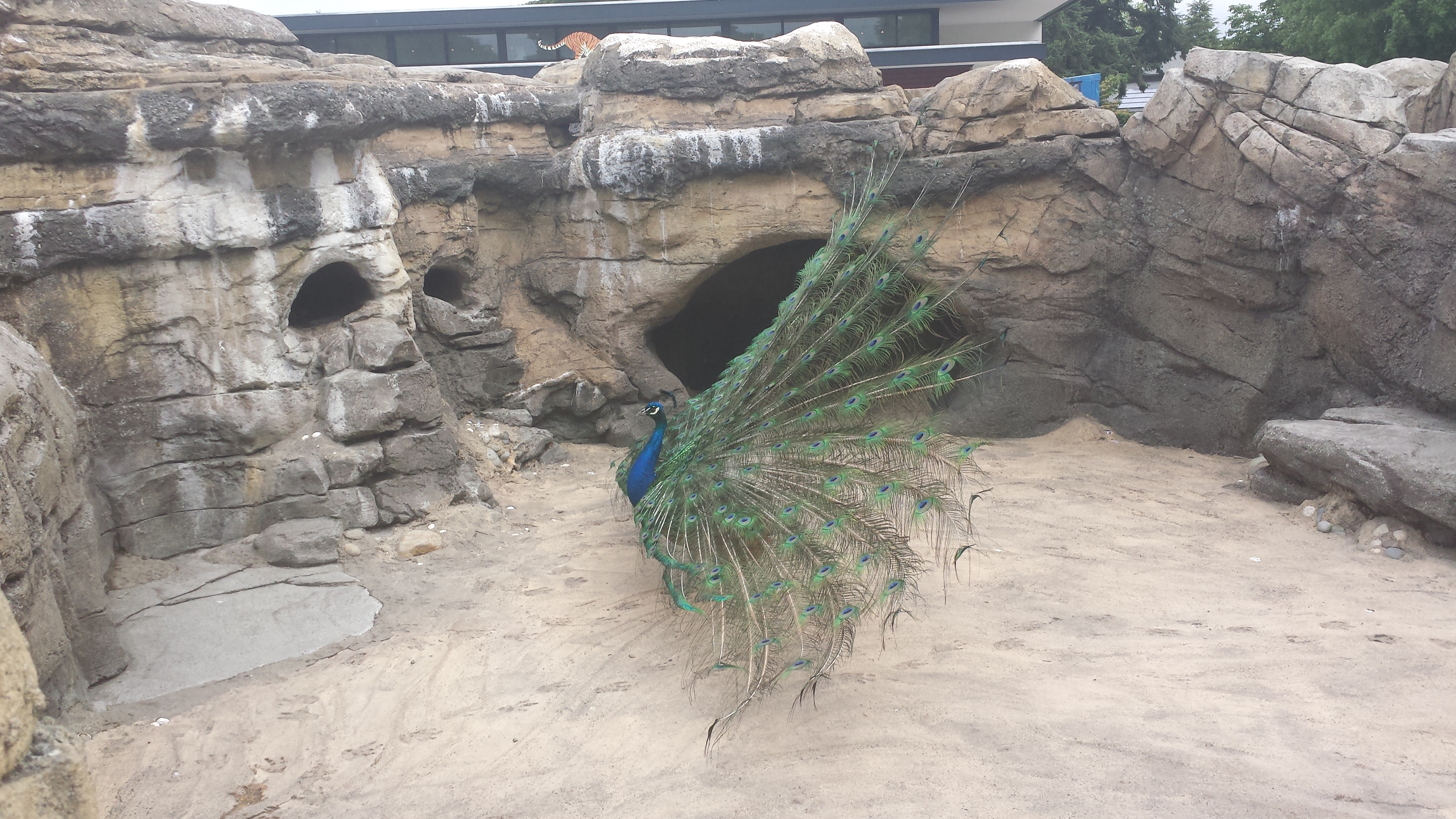 2014 06 10 09 39 411