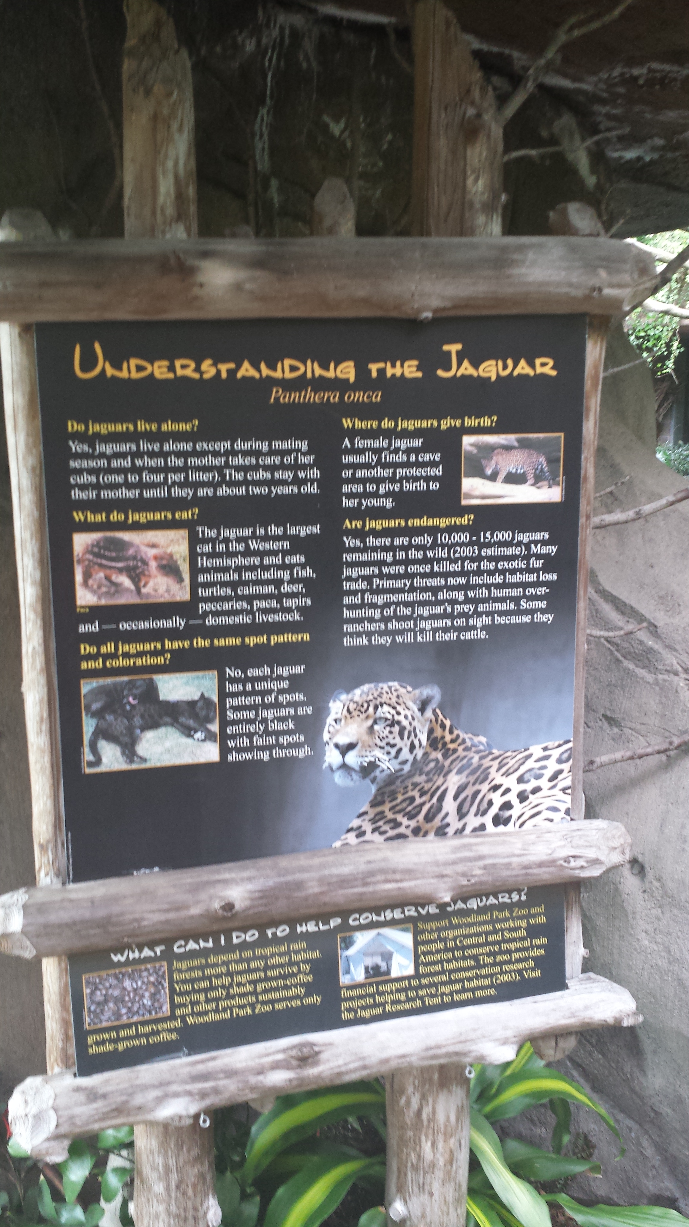 2014 06 10 09 44 041