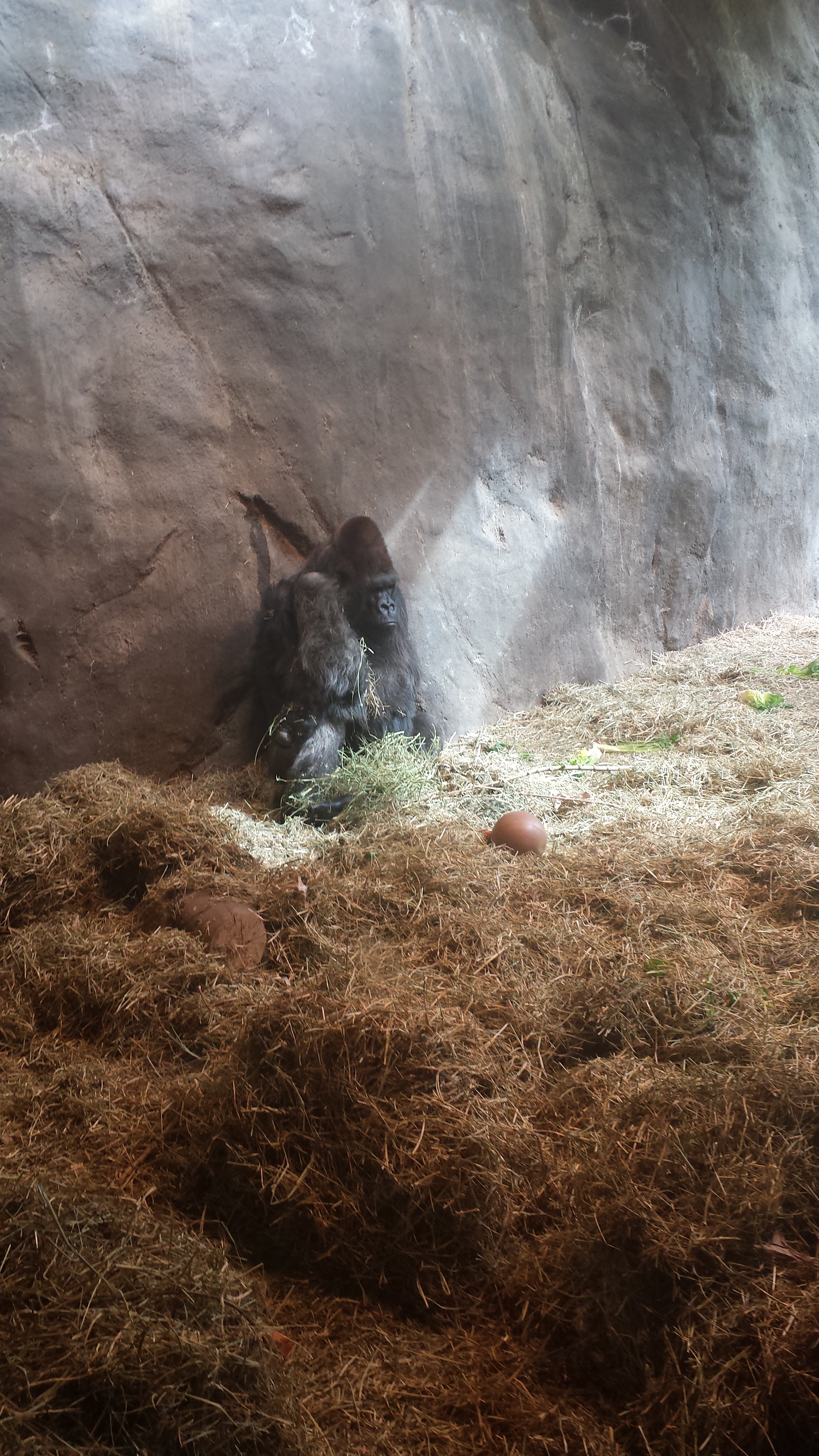 2014 06 10 10 12 101