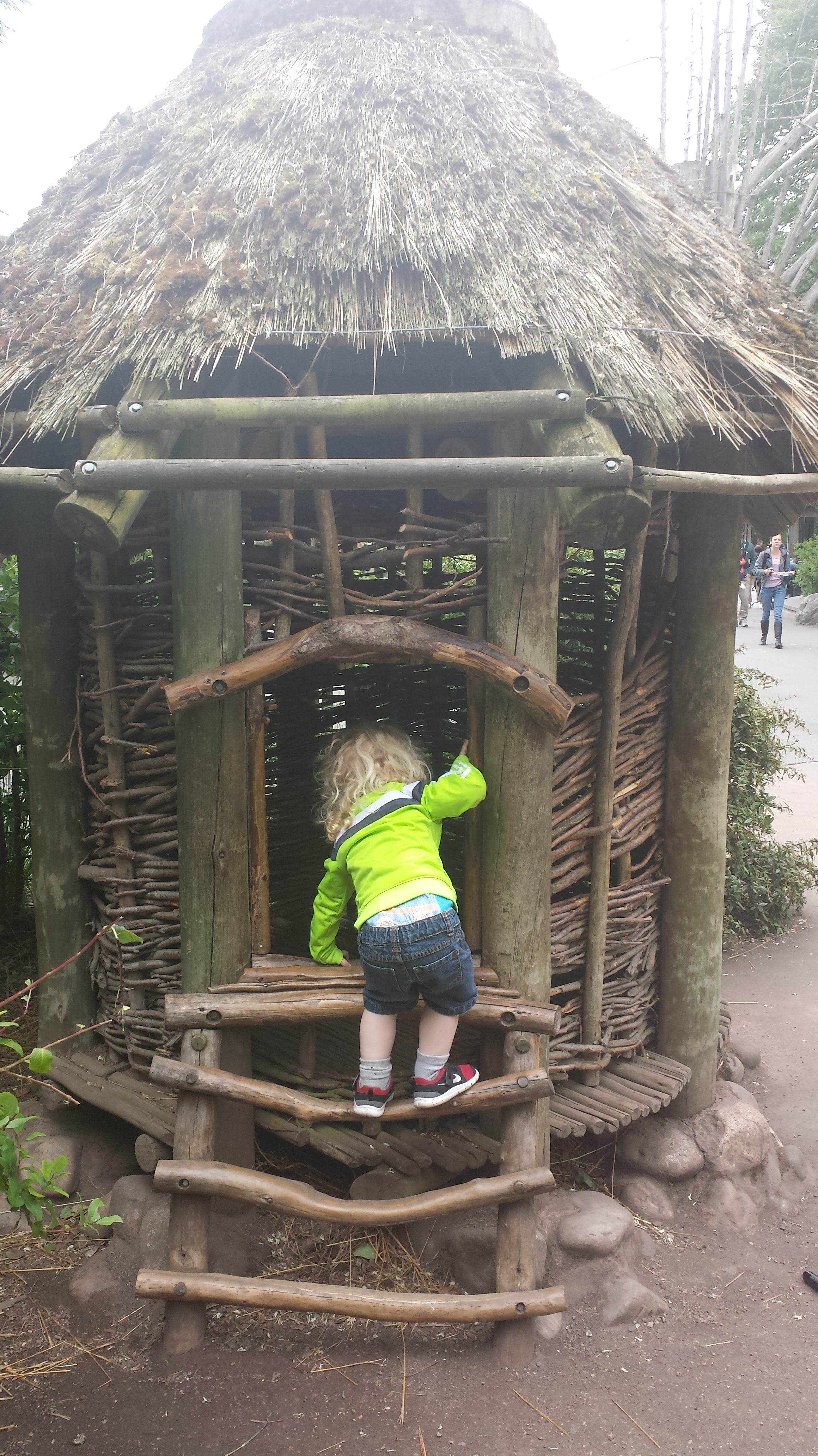 2014 06 10 10 24 011