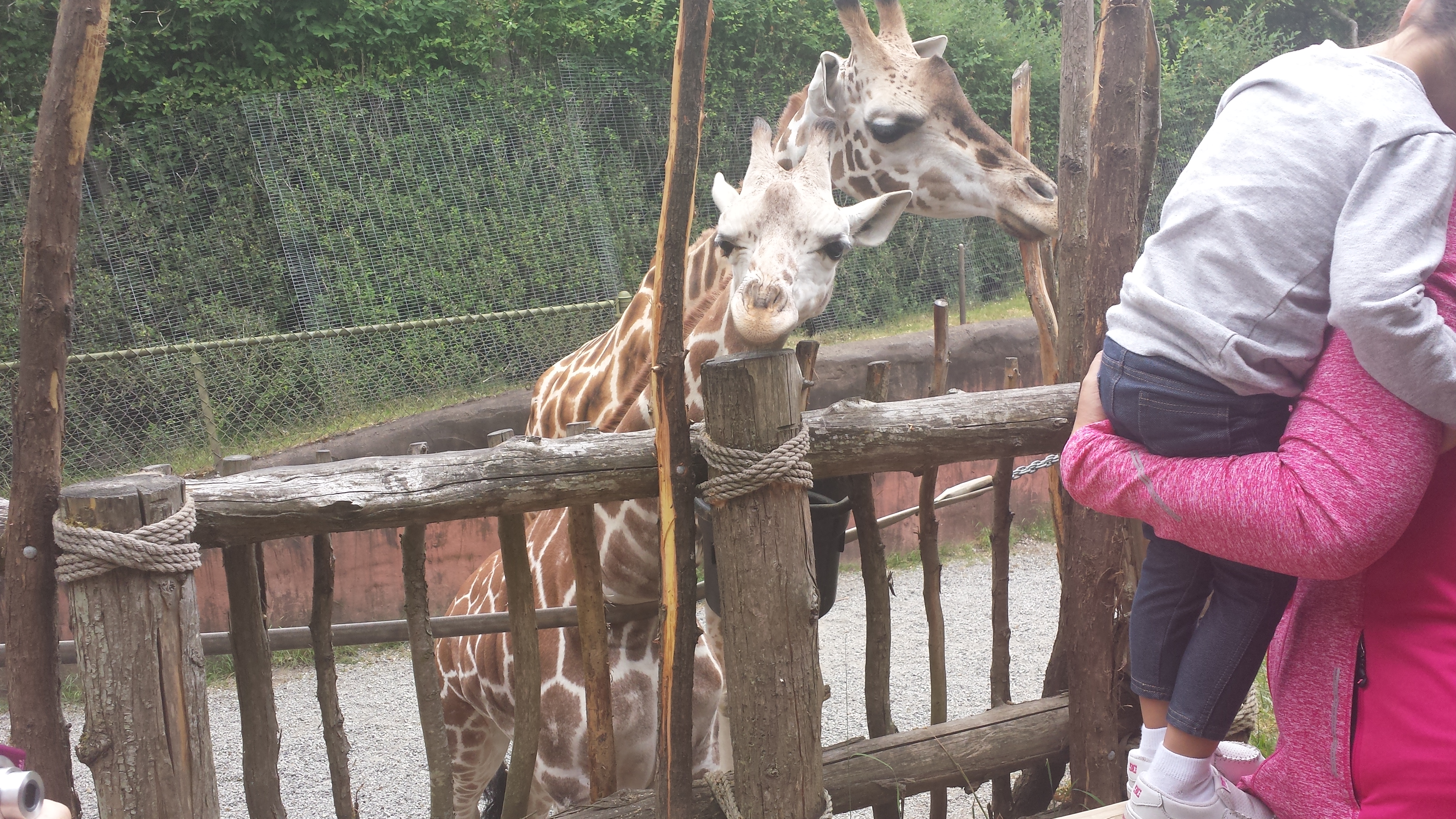 2014 06 10 11 02 151