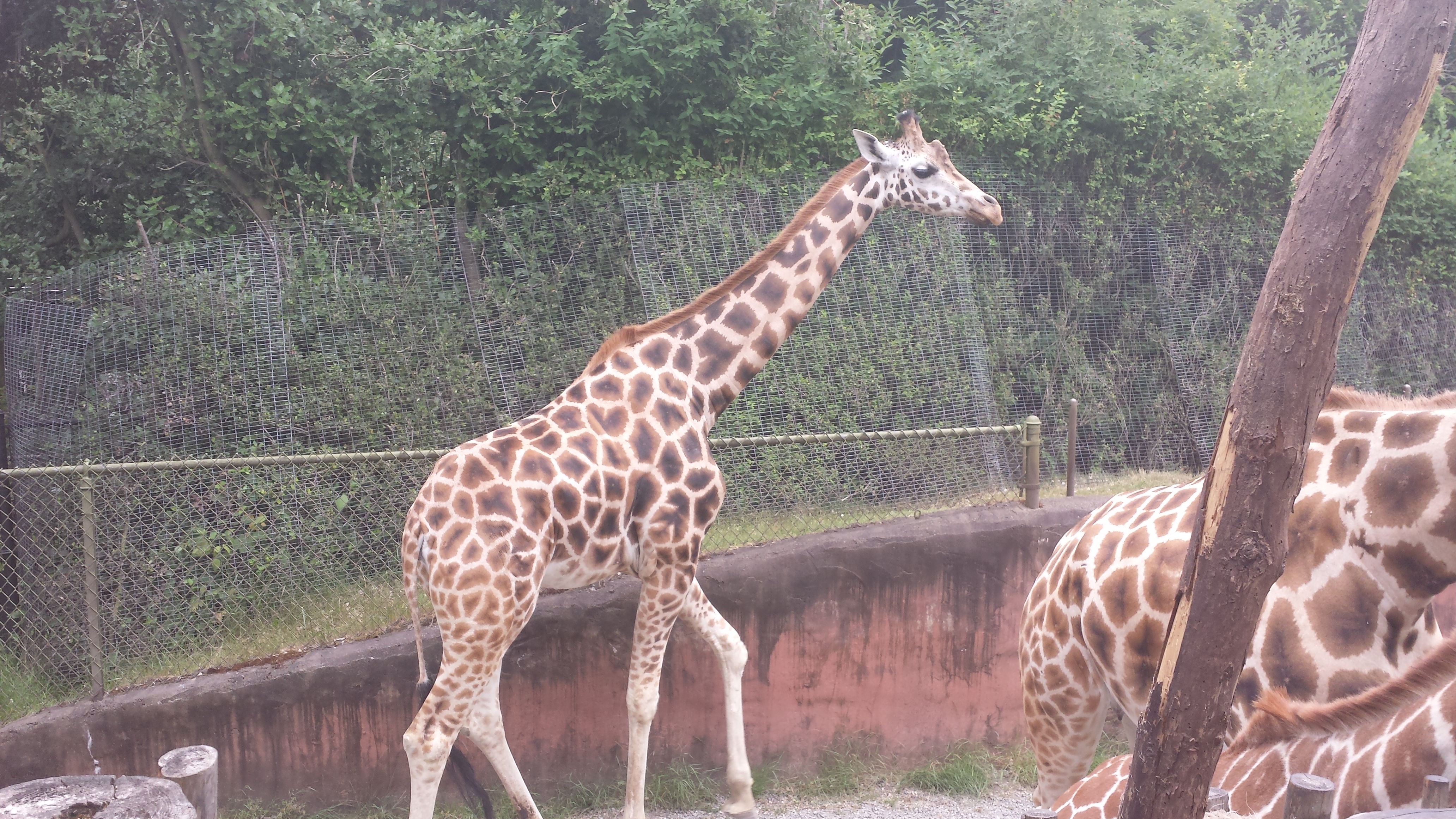 2014 06 10 11 02 221