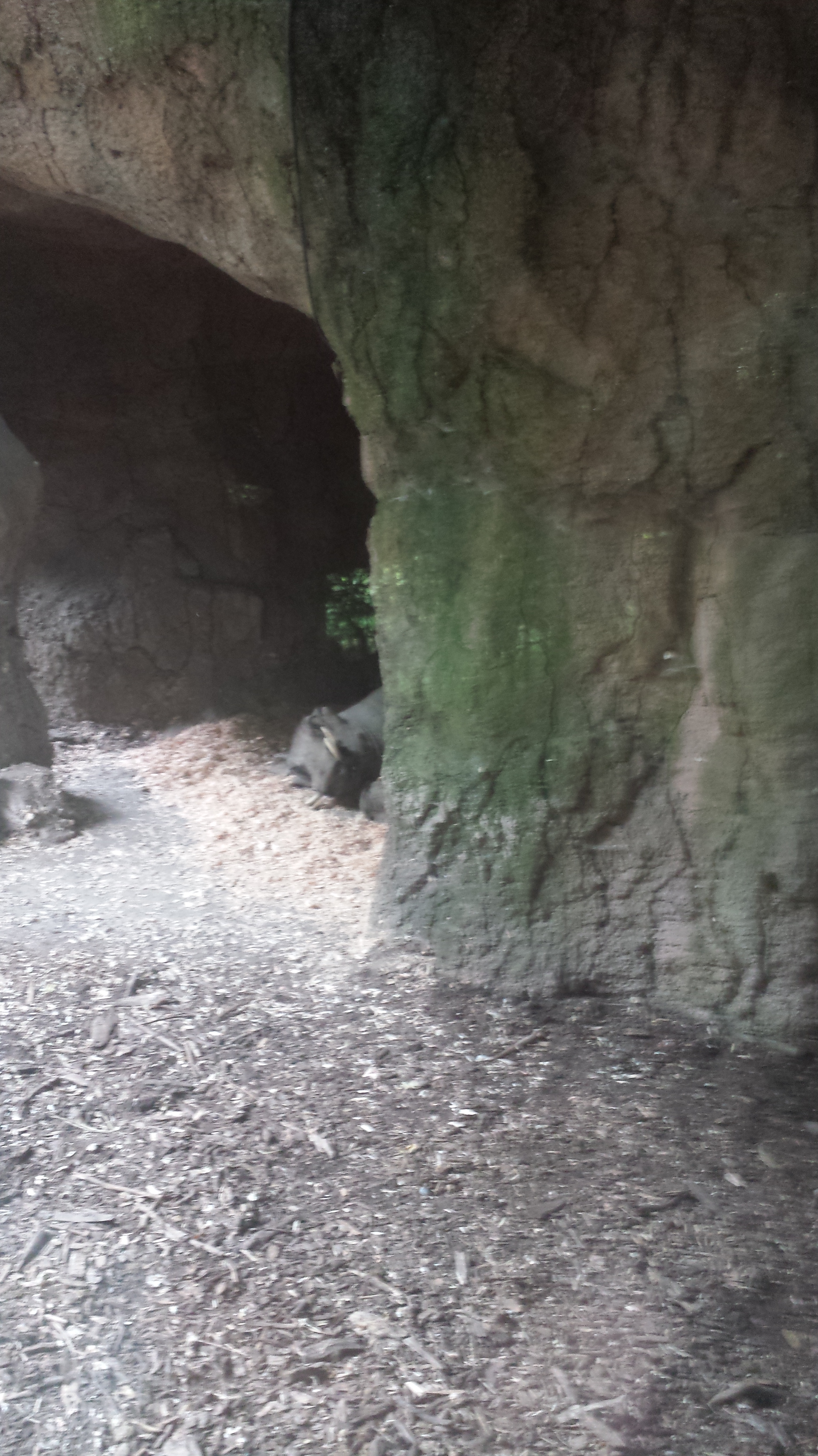 2014 06 10 11 15 591