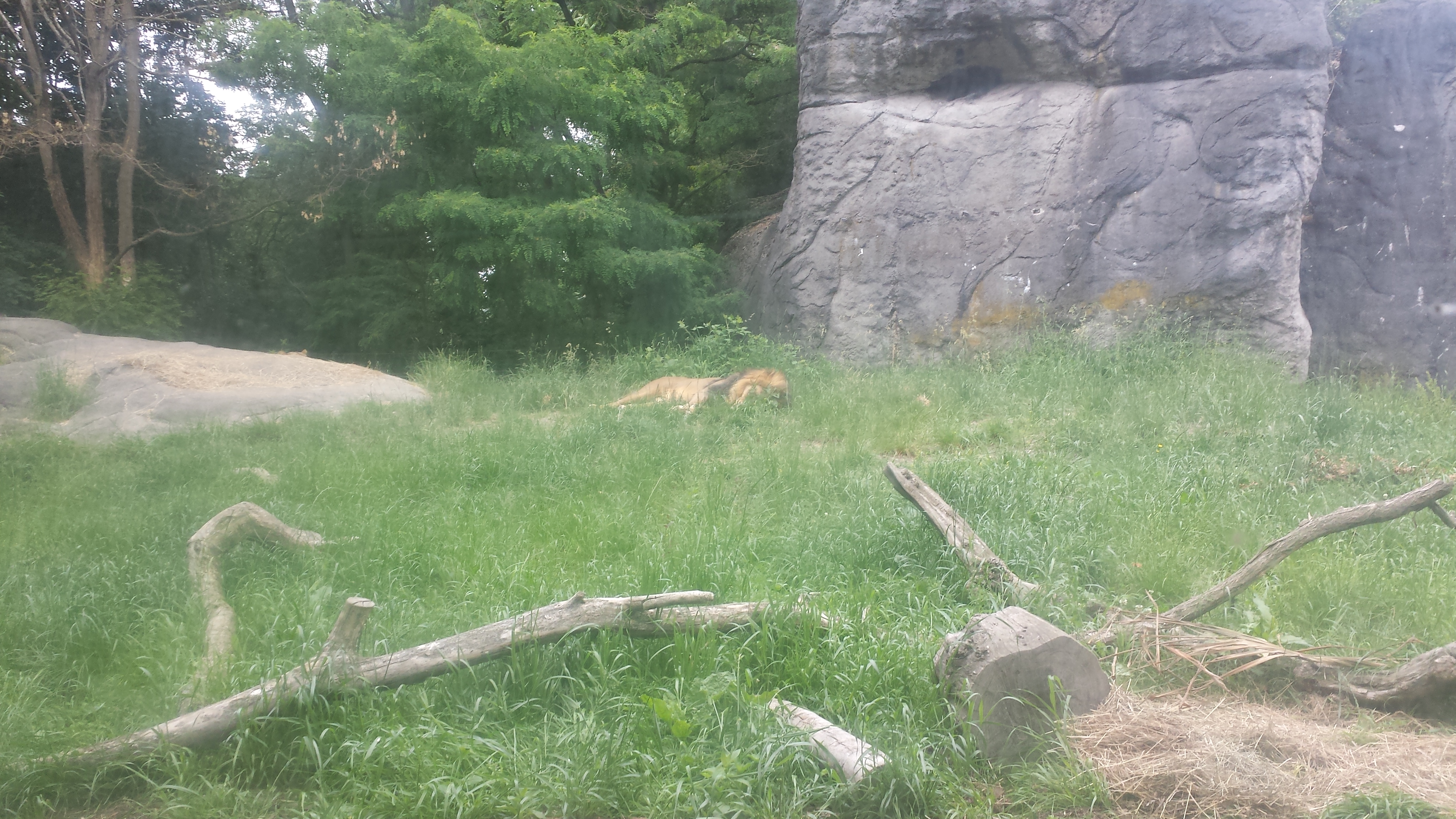 2014 06 10 11 16 111