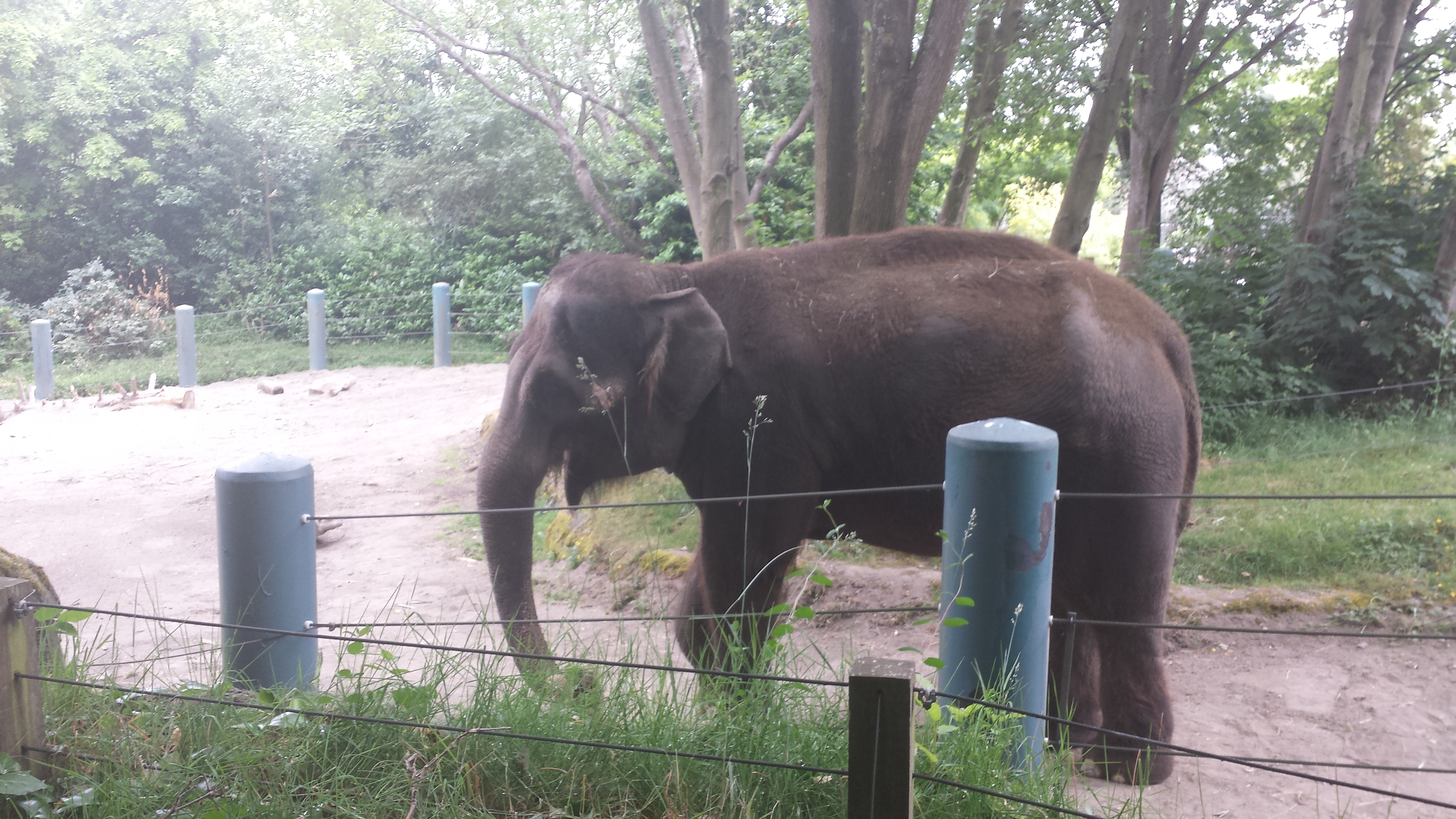 2014 06 10 11 24 201