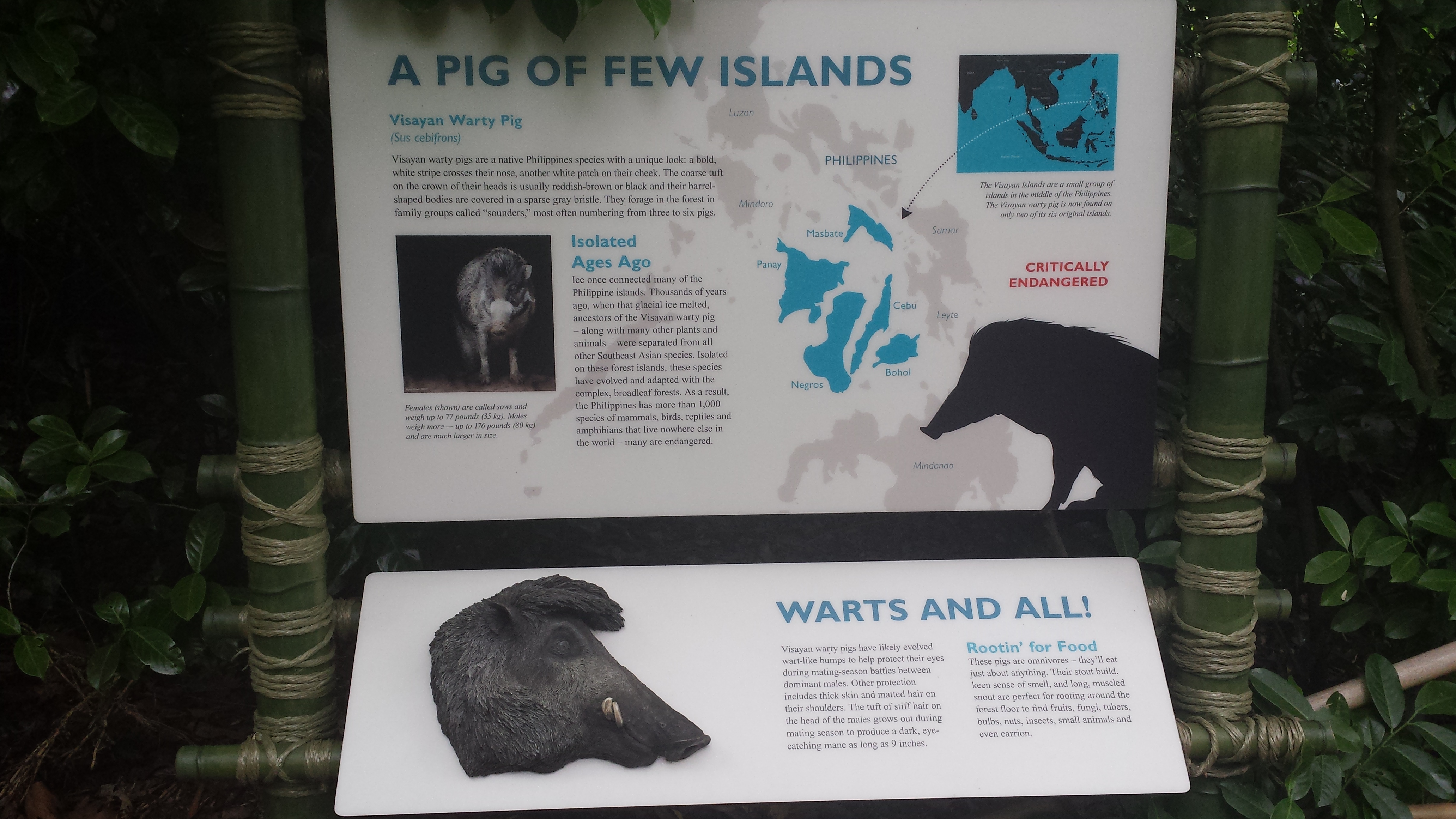 2014 06 10 11 31 381