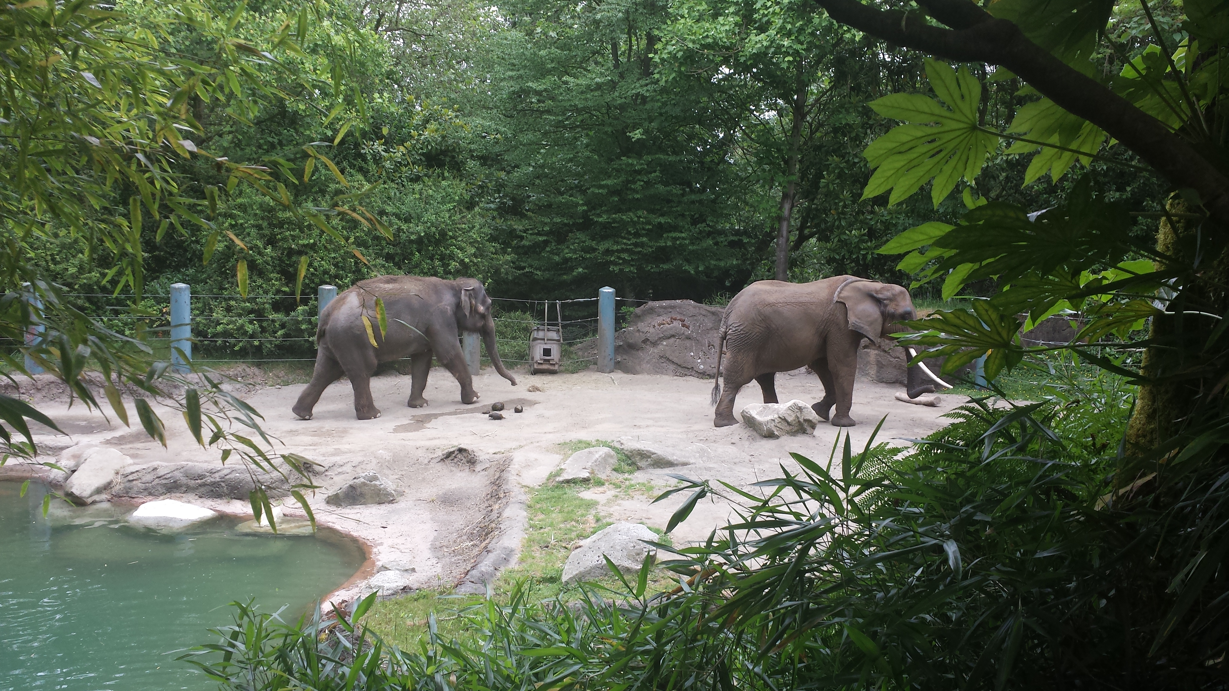 2014 06 10 11 32 141