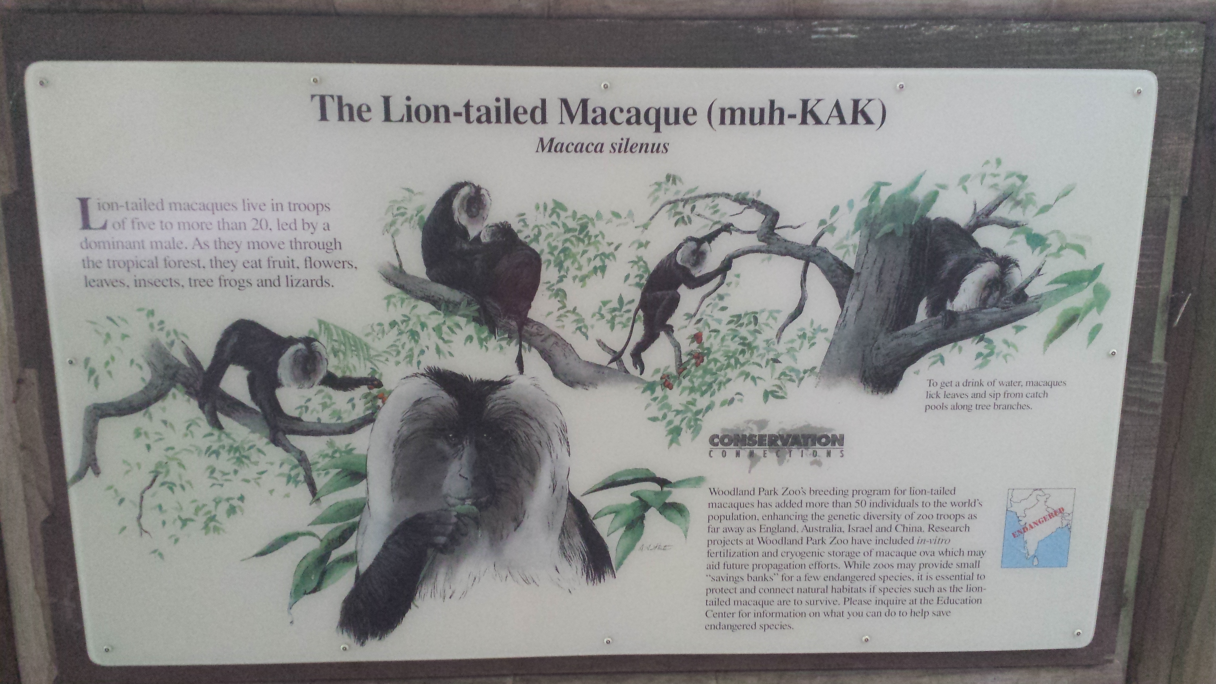 2014 06 10 11 48 471