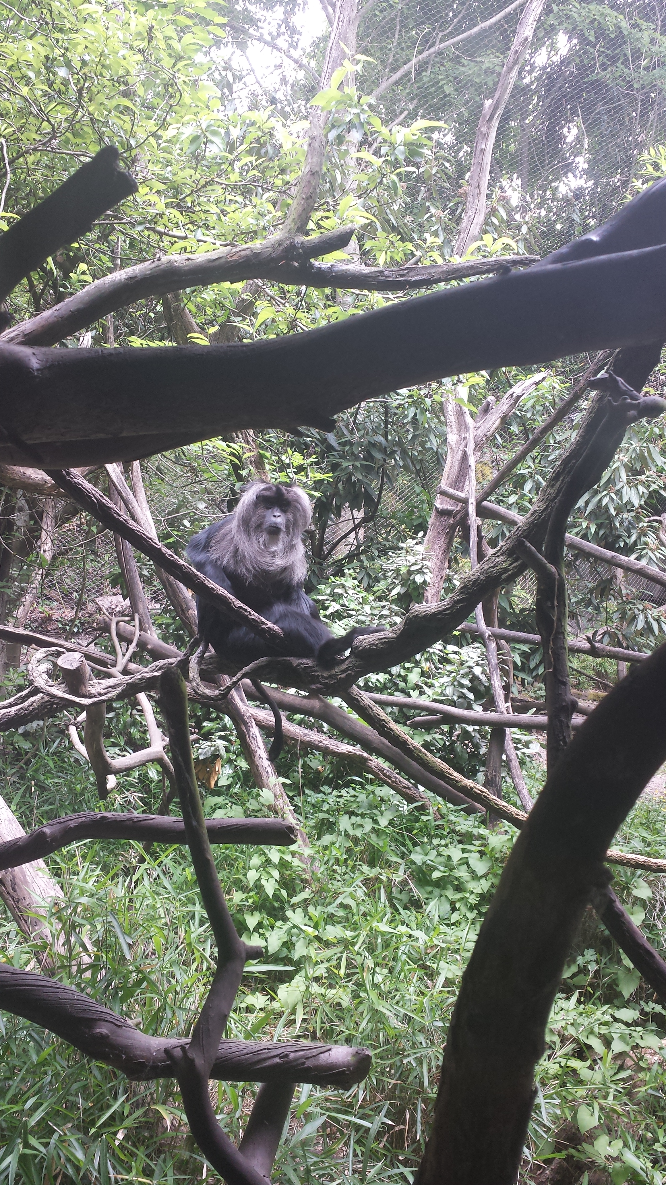 2014 06 10 11 49 221