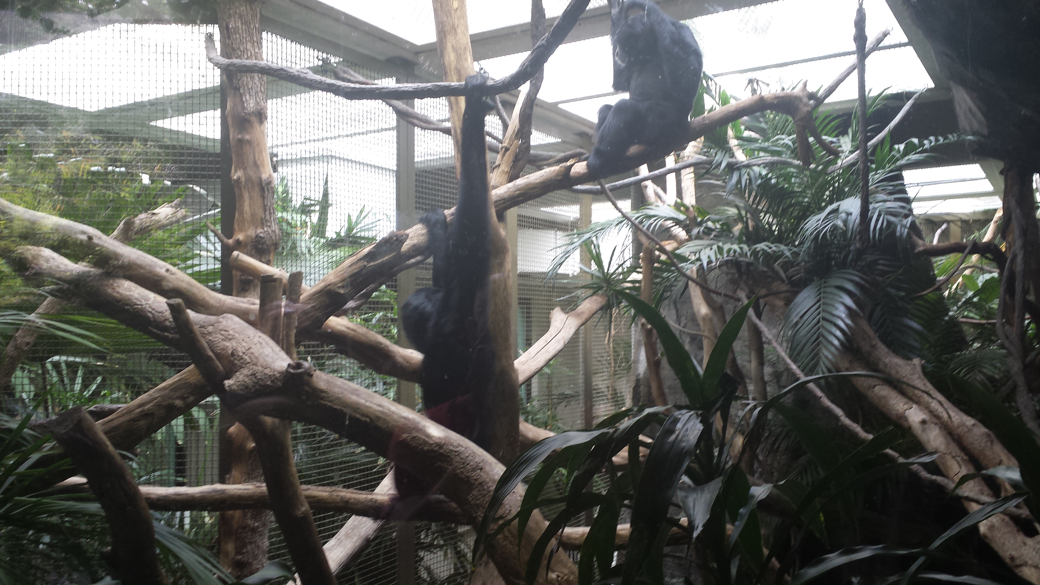 2014 06 10 11 53 361