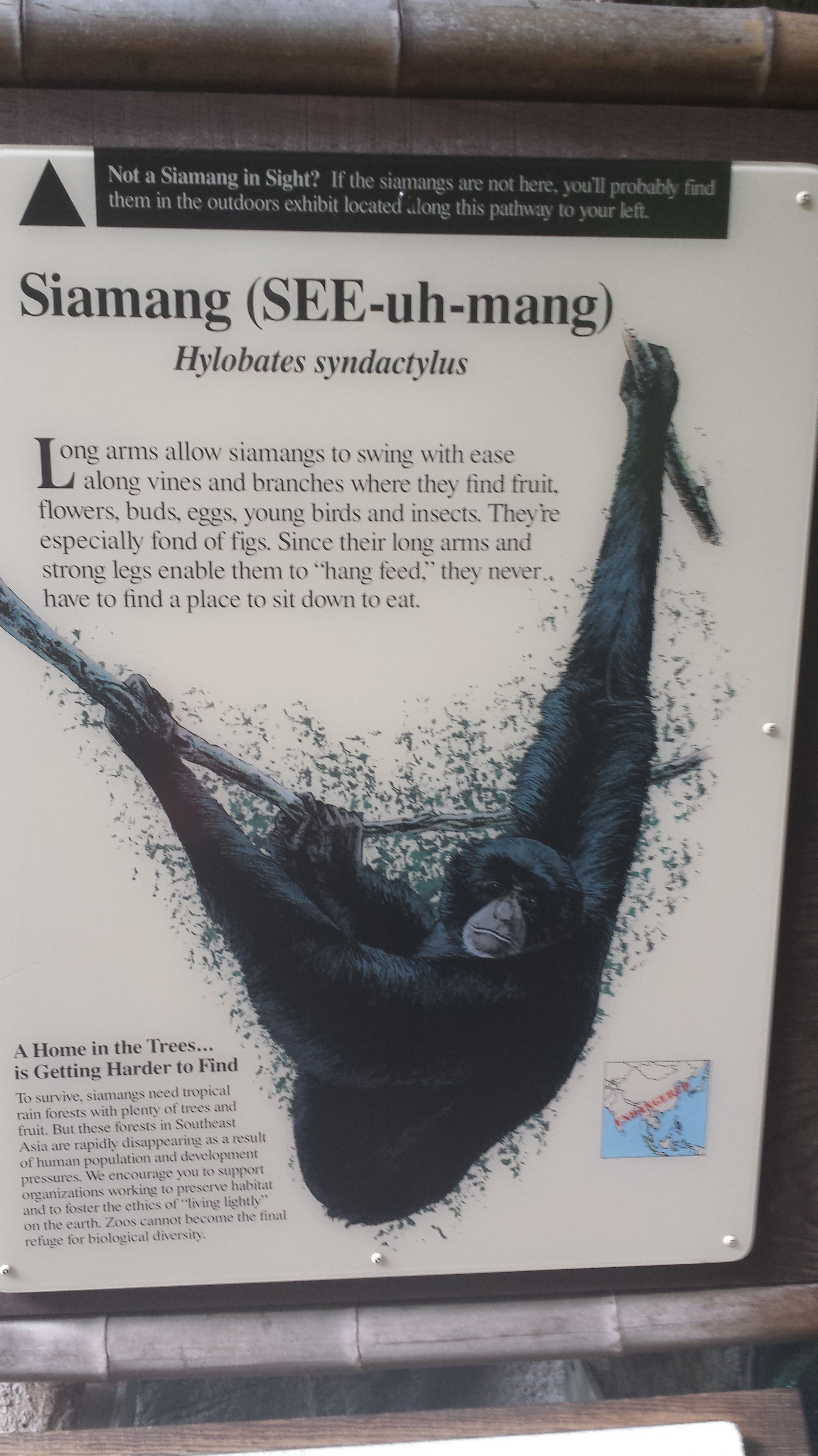 2014 06 10 11 55 011