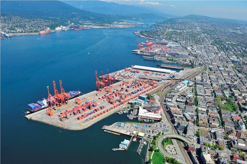 vfpa14481454929187534614